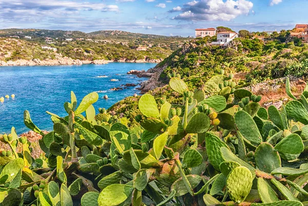 Szcenírozott Légi Felvétel Santa Teresa Gallura Partjaira Szardínia Északi Csúcsán — Stock Fotó