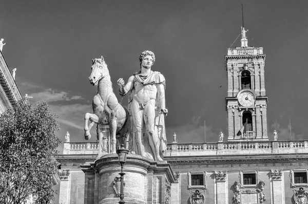 Estátua equestre de Castor no Capitólio. Roma. Itália — Fotografia de Stock