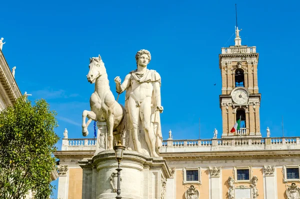 Ryttarstaty av castor på capitol. Rom. Italien — Stockfoto