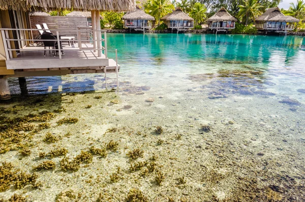 Bungalows sobre el agua, Polinesia Francesa — Foto de Stock