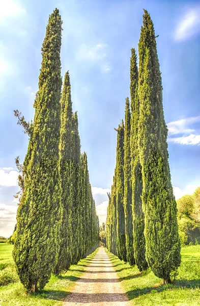 ヴィッラ ・ アドリアーナ (ハドリアヌス帝の別荘)、チボリ、イタリアでサイプレス路地 — ストック写真