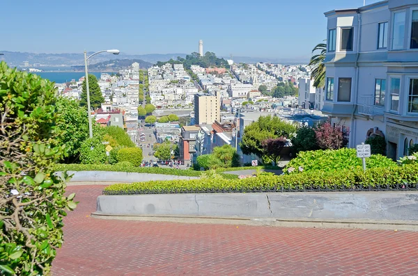 Lombard Street en San Francisco, Estados Unidos —  Fotos de Stock