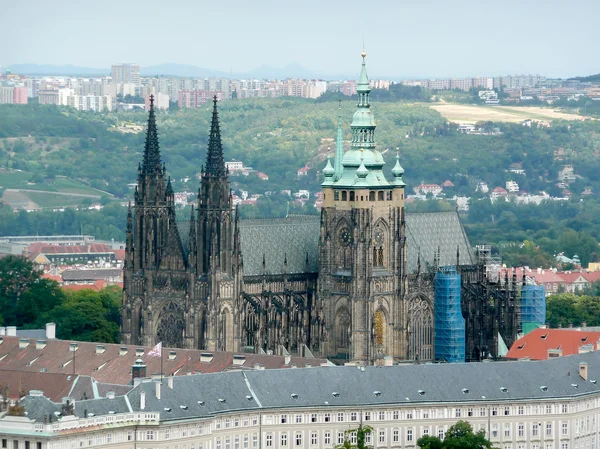 Ptaka St. Vitus Cathedral, Praga, Republika Czeska — Zdjęcie stockowe