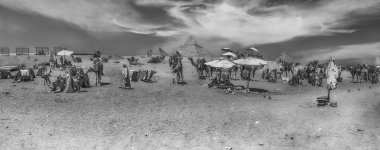 CAIRO, EGYPT - 30 Haziran 2025: Giza Piramit Kompleksindeki Bedevi ve develer, Kahire, Mısır