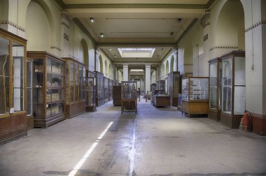 CAIRO, EGYPT - 30 Haziran 2025: Mısır 'ın Kahire kentindeki Tahrir Meydanı' ndaki ünlü Mısır Müzesi 'nin iç manzarası. Müze 1902 'de kuruldu.