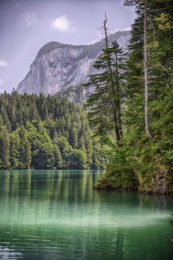 Güneşli bir yaz gününde arka planda Brenta Dolomitleri olan güzel Tovel Gölü manzarası, Trentino Alto Adige, İtalya
