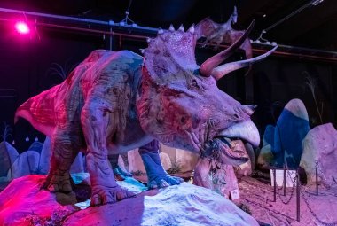 Roma - 12 Eylül 2019 'da İtalya yakınlarındaki Cinecitta World Lunaparkı' nda dinozorlar temalı bir alan oluşturuldu. Park 24 Temmuz 2014 tarihinde resmen açıldı.