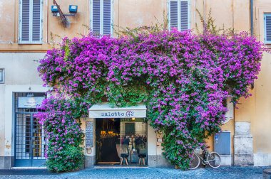 ROME - 10 Kasım 2019 'da Piazza di Pietra, İtalya' daki Cafe 'Salotto 42' nin girişini süsleyen güzel çiçekler