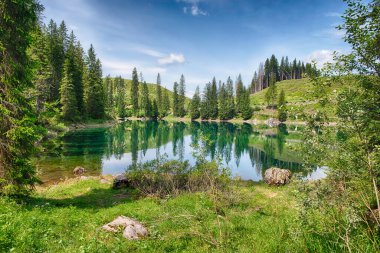 Carezza Gölü 'nün yeşil suları, güneşli bir yaz gününde çevreleyen kozalaklı ormanı yansıtır. Trentino Alto Adige, İtalya