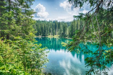 Carezza Gölü 'nün yeşil suları, güneşli bir yaz gününde çevreleyen kozalaklı ormanı yansıtır. Trentino Alto Adige, İtalya