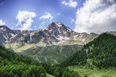 Kayalık kar, İtalya 'nın Güney Tyrol kentindeki Schnalstal yemyeşil vadisinden görüldüğü üzere Otztal Alplerinde Schwemser Spitze' yi kapladı.