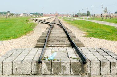 Auschwitz Birkenau'da Brzezinka bir eski Nazi imha kampı