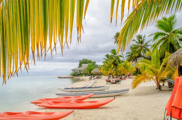 Tropikalnej plaży na wyspie moorea, Polinezja Francuska — Zdjęcie stockowe