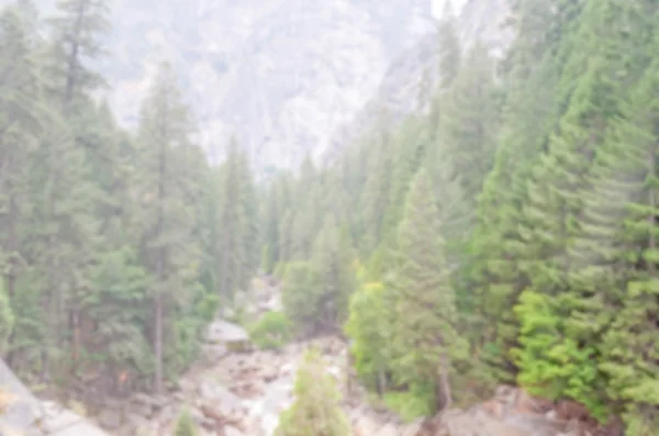 Fundo desfocado da Floresta no Parque Yosemite — Fotografia de Stock