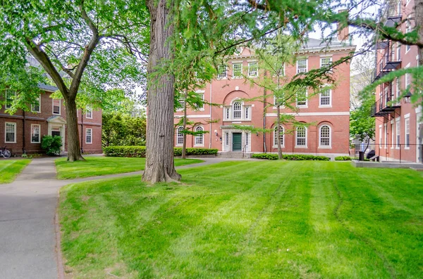 Innerhalb harvard universität campus, cambridge — Stockfoto