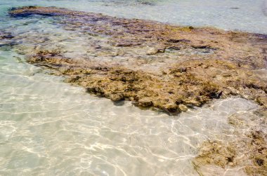 Bir beyaz kum yukarıdan aşağıya doğru: Salento güzel kumsalı, İtalya