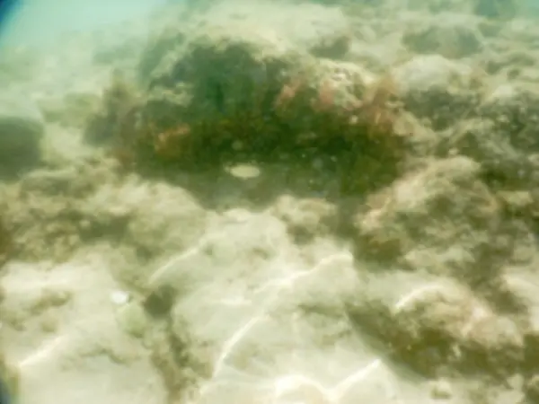 Intreepupil achtergrond van witte zandstrand in Salento, Italië — Stockfoto