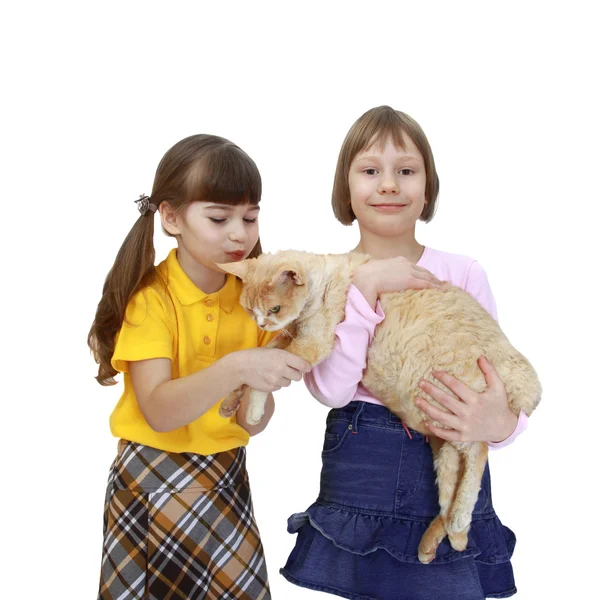 Deux filles avec chat — Photo