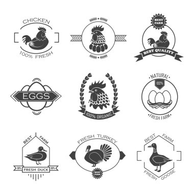 Kümes hayvanları çiftlik logosu, dizi amblemi. Tavuk, hindi, kaz, ördek.