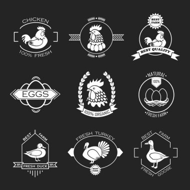 Kümes hayvanları çiftlik logosu, dizi amblemi. Tavuk, hindi, kaz, ördek.
