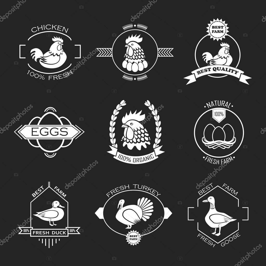 Set of poultry farm logo, emblem. Chicken, turkey, goose, duc