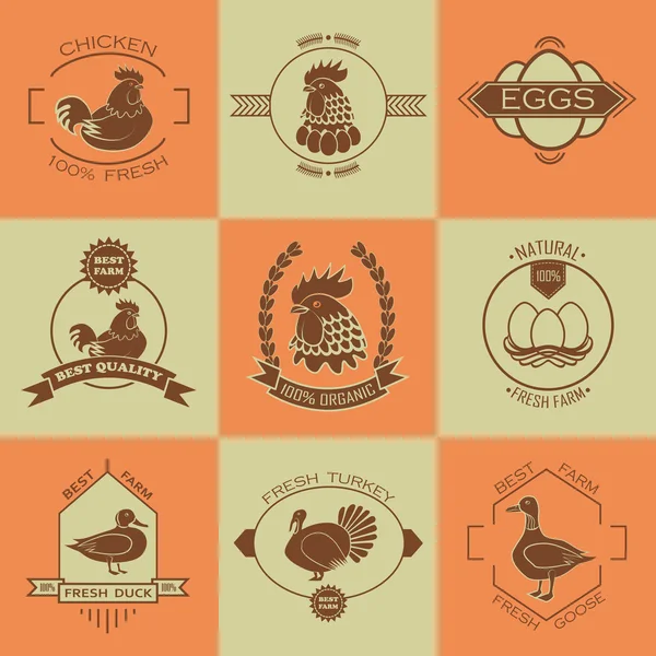 Set of poultry farm logo, emblem. Chicken, turkey, goose, duck. — Stock Vector