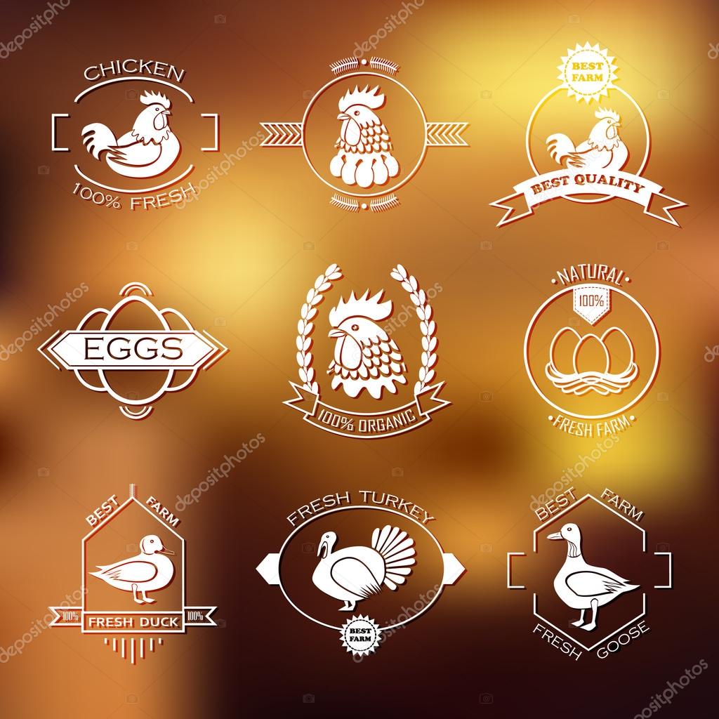 Conjunto de logotipo da fazenda de aves, emblema. Frango, peru, ganso, pato  . Vetor de ©systemm 68970909, image size:1024x1024