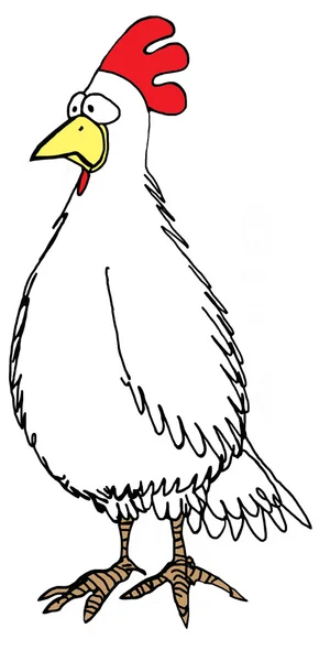公鸡的插图 — 图库照片