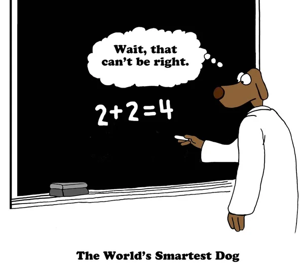 De slimste hond ter wereld — Stockfoto