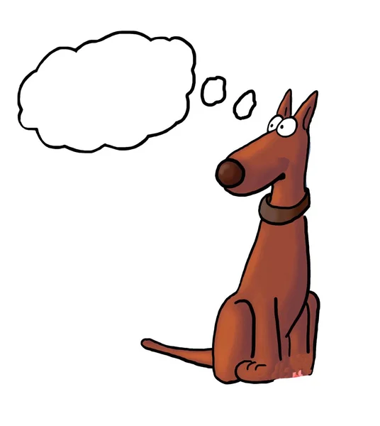 Brun hund tänkande — Stockfoto