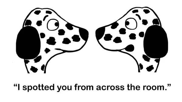Twee Dalmatiërs Worden Aangetrokken — Stockfoto