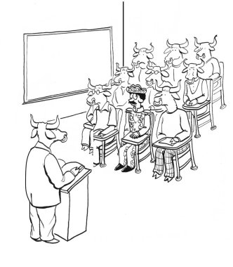 Bir boğa öğretmeni, bir öğrencinin matador olduğu boğalar sınıfına sahiptir..              