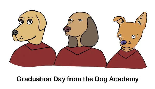 Tres Perros Gradúan Academia Perros Entrenamiento — Foto de Stock