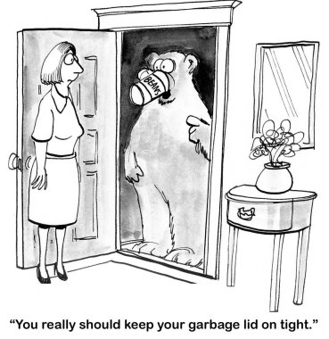 Ayı emniyetli olmayan çöpleri yemiş..