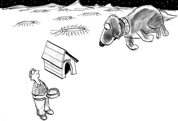 火星では 犬は食べ物のためにジャンプするときに軌道に入ることができます — ストック写真