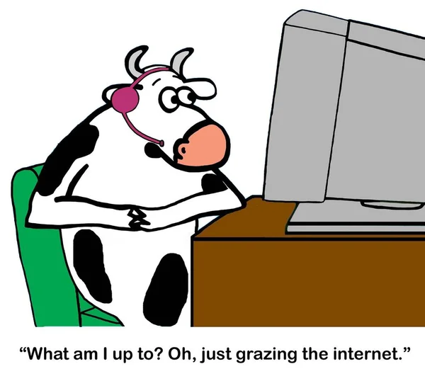 A cow is passing time at work