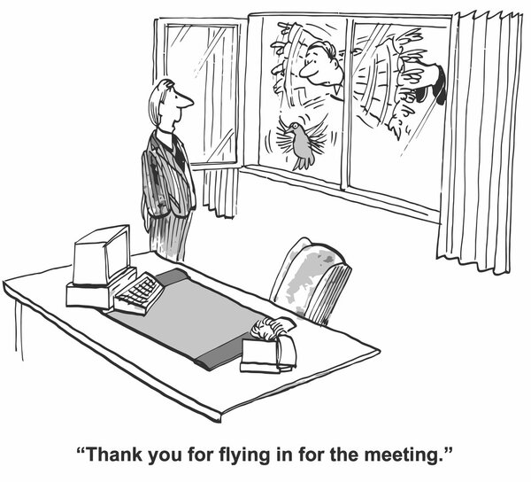 Thanks for flying in for the meeting