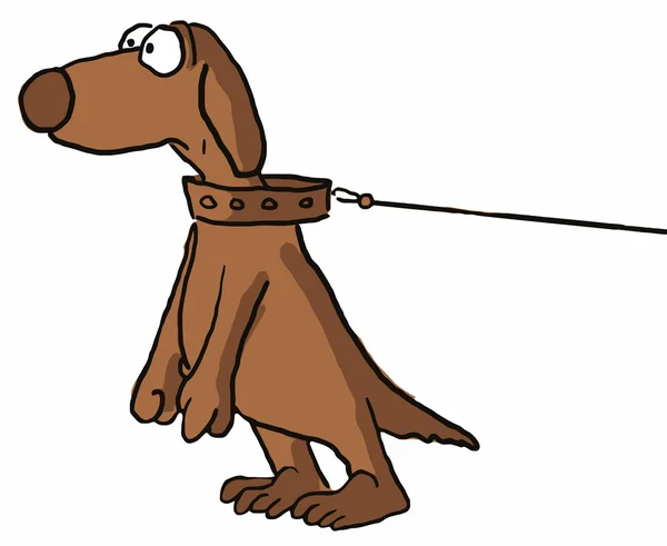 Dog straining at leash — Stock Vector