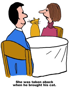 Akşam yemeği dışarı ile kedi