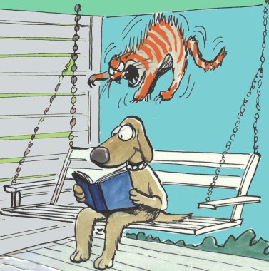 kedi iliştirin