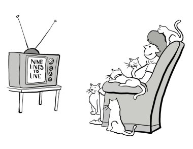 Kadın ve kedi pembe dizi izle