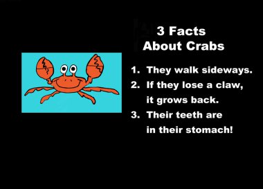 Facts About Crabs