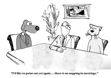 Cat cannot nap in meetings
