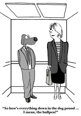 Dog in elevator