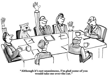 people in a meeting, including a cat