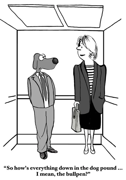 Dog in elevator — ストック写真