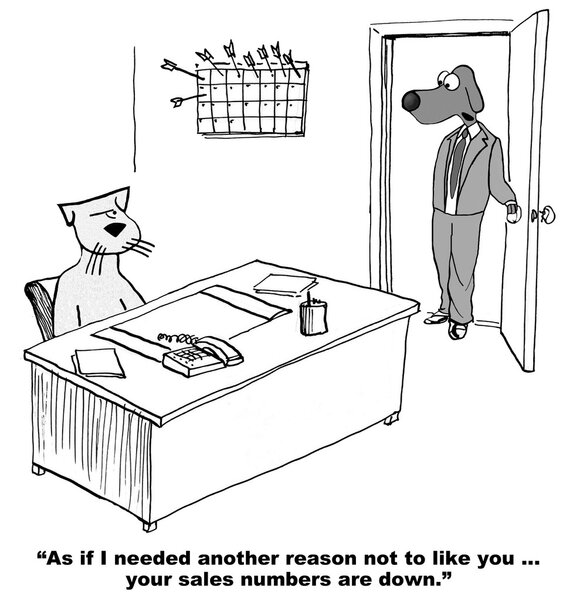 День босса для кота продавца
