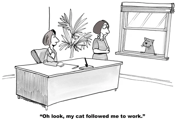 Cat Followed Boss to Work — Stock Photo, Image