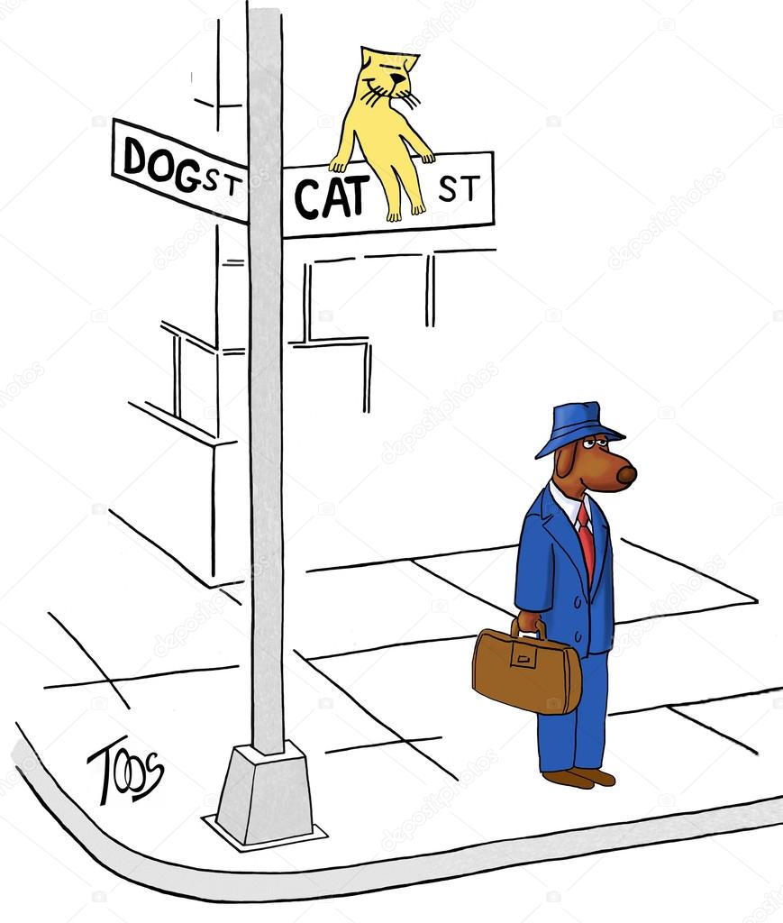 Business Dog Has Encroached onto Cat Street