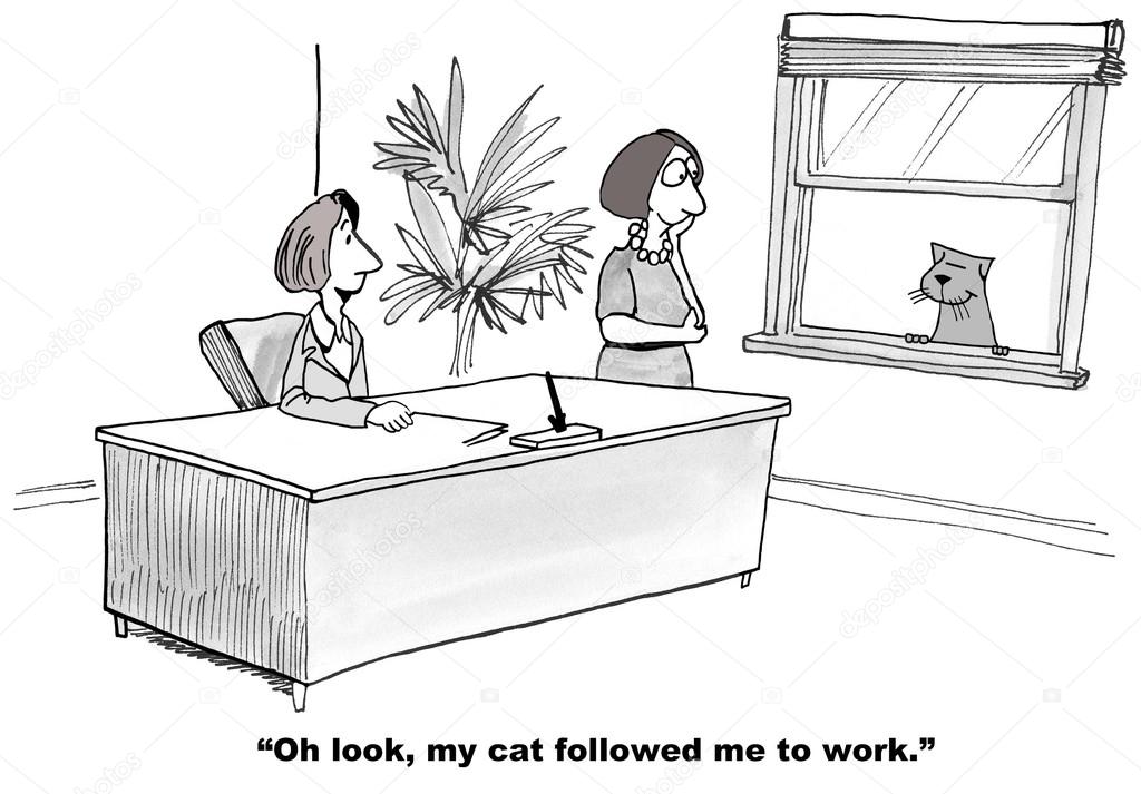 Cat Followed Boss to Work